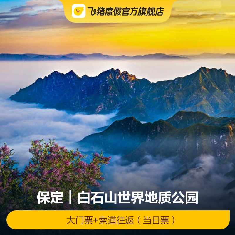 [白石山世界地质公园-大门票+索道往返（当日票）]门票+索道