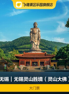 [无锡灵山胜境（灵山大佛）-大门票]