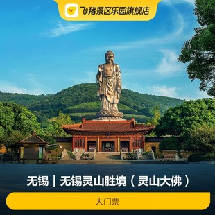 [无锡灵山胜境（灵山大佛）-大门票]