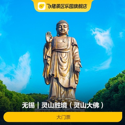 无锡灵山大佛门票