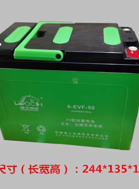 杭叉大金刚搬运车CBD20-AMC1-D电动搬运叉车理士电瓶电池6-EVF-60