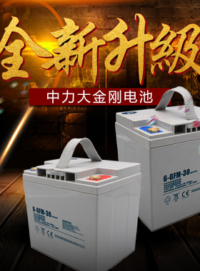 原装正品EPT20-ET大金刚电动搬运车电池6-GFM-30电瓶叉车搬运车