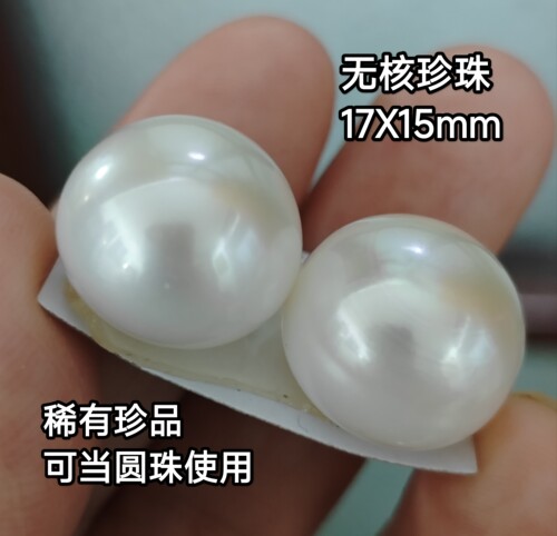 稀有无核珍珠16一23耳钉耳环裸珠大馒珍珠耳环送礼新娘配饰收藏品