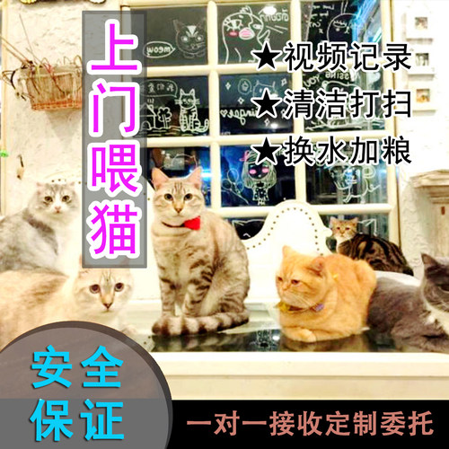 【南京各区域】上门喂养猫咪/铲屎/换粮水/清洁打扫/陪玩、寄养猫