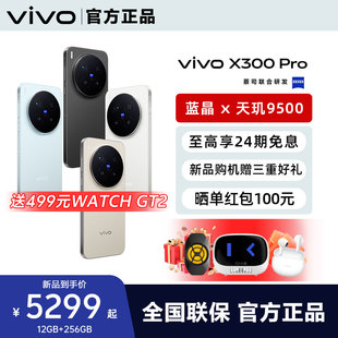 24期免息 手机新品 vivo Pro 蔡司天玑旗舰芯拍照学生智能手机vivo官方旗舰店官网正品 X300