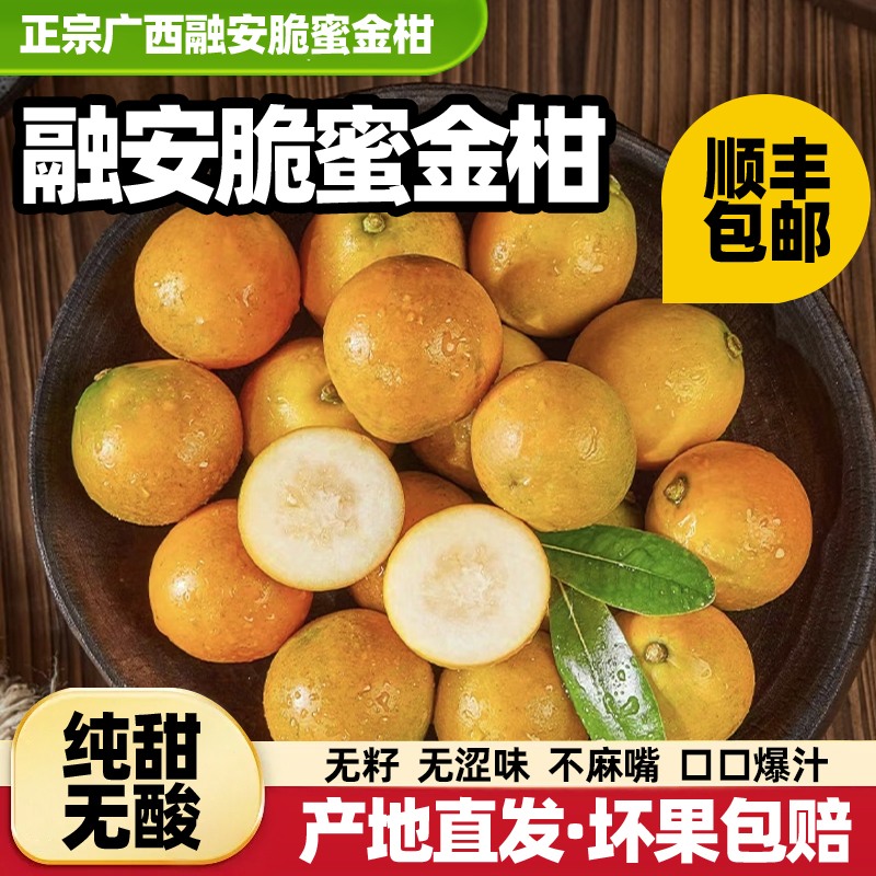 正宗广西融安脆蜜金柑第三代金桔