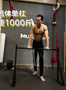 双力臂引体向上臂屈伸室内墙体杠