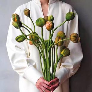 虞美人鲜花家用插花室内水培花卉真花鲜切花云南基地直发顺丰包邮