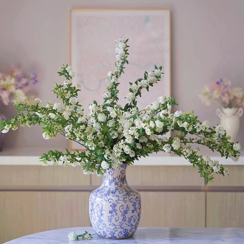 水培小手球鲜切花鲜花云南基地直发水培单瓣手球花插花绿植花期长,鲜花速递/花卉仿真/绿植园艺,花材,淘宝优惠券,粉丝福利购,淘宝优惠卷