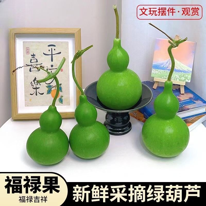 青皮葫芦佛手摆件云南基地直发天然青葫芦福禄双全佛手柑顺丰包邮