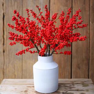 北美冬青红果果鲜切花云南直发真花过年鲜花插花发财果东青年宵花