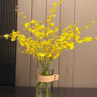 【顺丰冷链】A级跳舞兰又名文心兰灵动仙子高档花材昆明基地直发