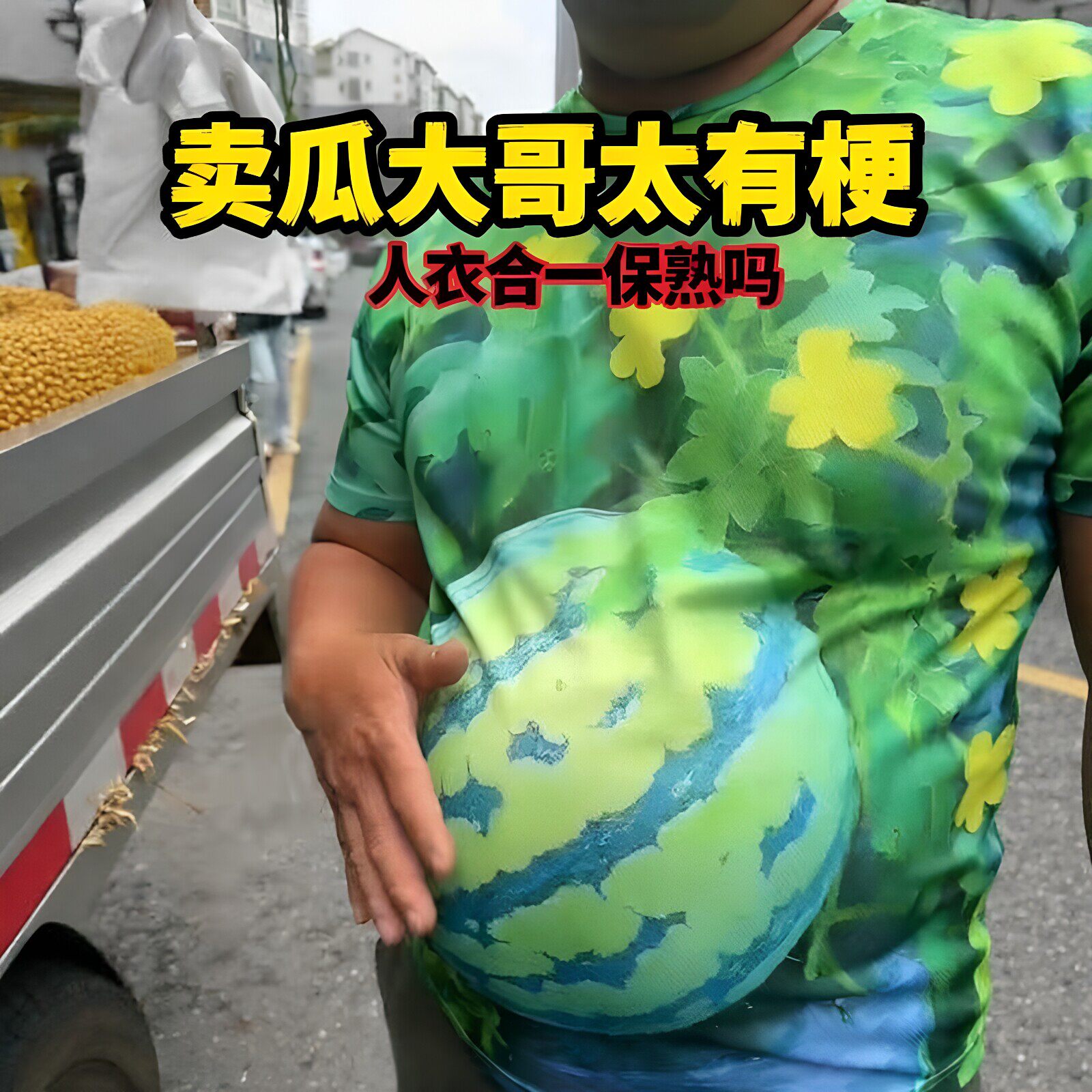 【这瓜包熟】西瓜短袖3D
