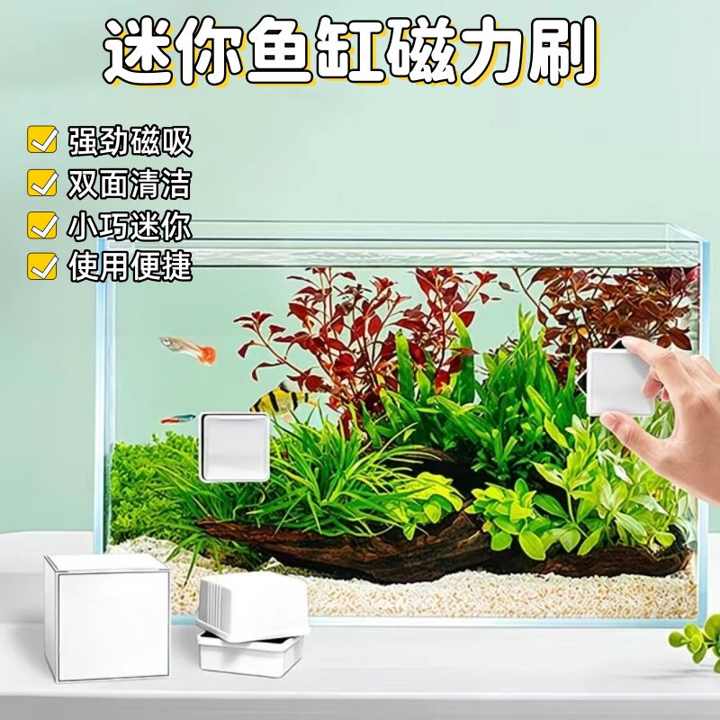 磁力迷你水族箱强磁跨境清工具除藻双面刷清理玻璃缸洗刷清洗鱼缸