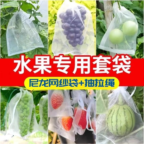 水果网保护套袋防虫防鸟草莓葡萄枇杷桃子无花果番石榴透气纱网袋