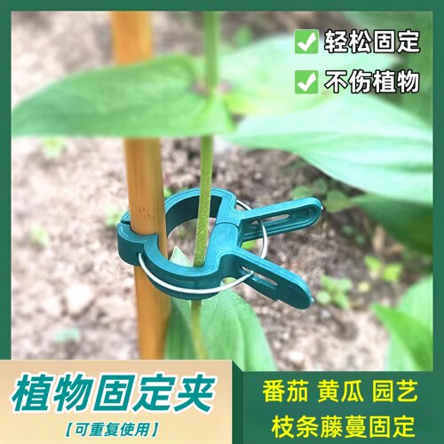 番茄夹藤蔓夹子黄瓜西红柿吊秧夹支撑架养花爬藤植物种植固定夹子