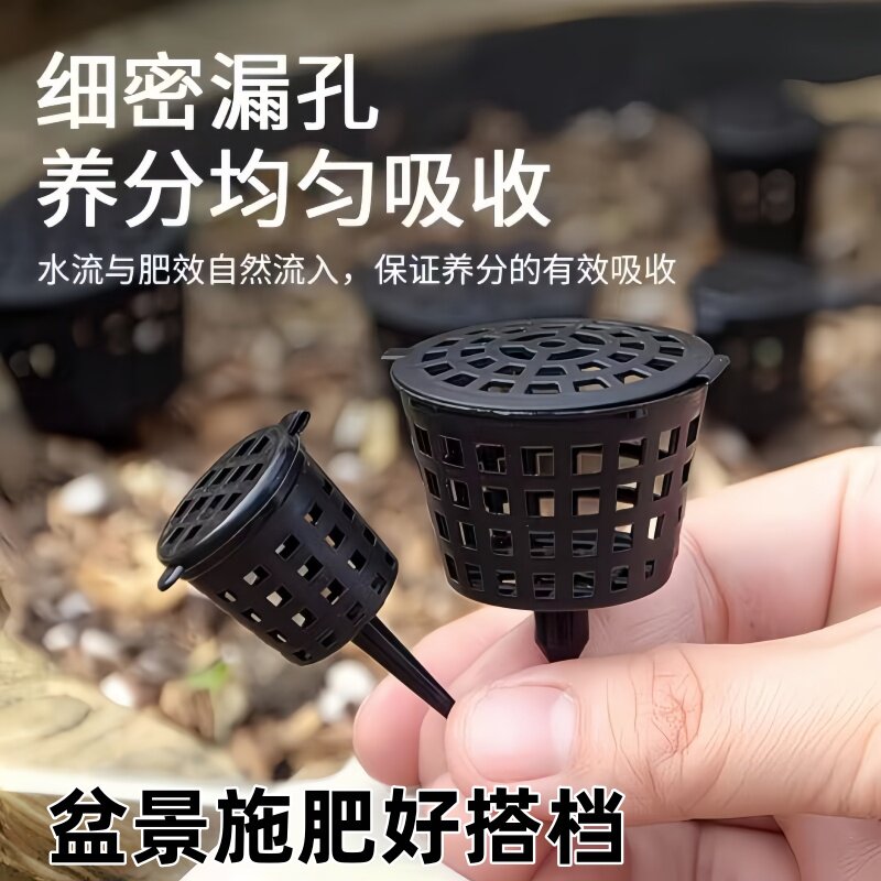 盆景玉肥盒植物肥料盒带盖玉肥专用盒肥料盒盆栽兰花花卉施肥小盒