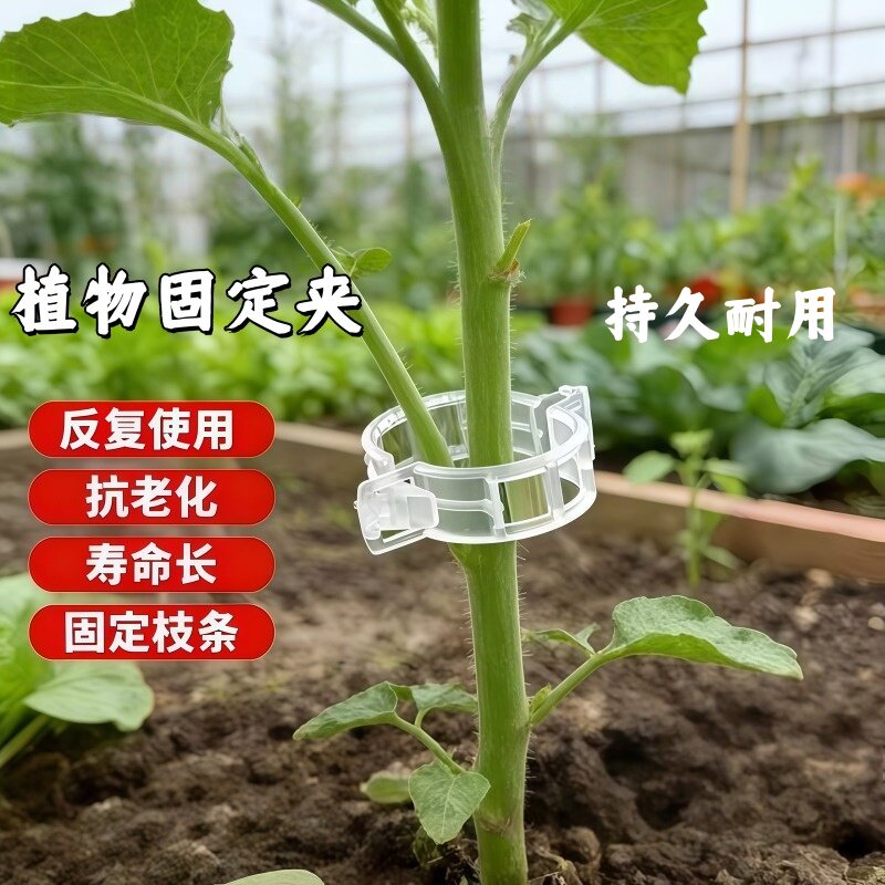 枝黄瓜丝瓜番茄扶蔓西红柿吊秧绑植物固定夹绿植园艺爬藤蔬菜卡扣