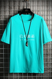 T2301网格挂拍男士潮牌潮流夏季薄款大码宽松圆领五分半袖体恤图片