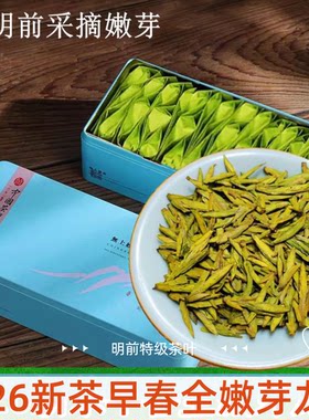 清明前采摘嫩牙新茶明前春茶