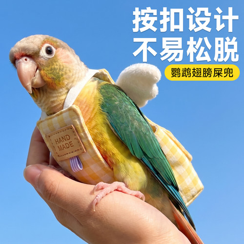 鹦鹉尿不湿屎兜衣服纸尿裤放飞绳