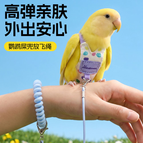 鹦鹉兜屎一次性尿不湿牵引绳防脱