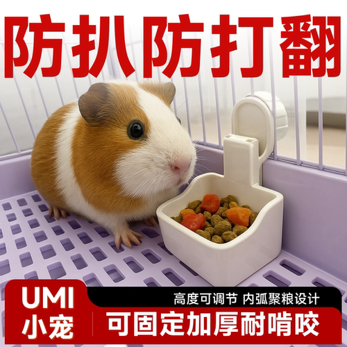 荷兰猪食盆umi豚鼠防扒固