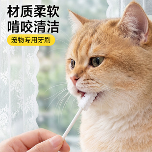 猫咪牙刷纱布小猫啃咬棒专用幼猫用品刷牙神器宠物狗狗一次性清洁
