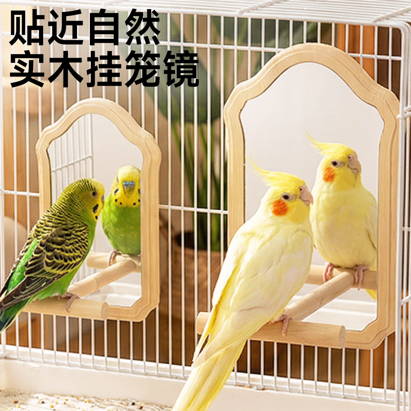 鹦鹉笼内装饰镜子站架解闷自嗨鸟笼造景站杆玩具虎皮牡丹玄风用品,宠物/宠物食品及用品,鸟玩具,淘宝优惠券,粉丝福利购,淘宝优惠卷