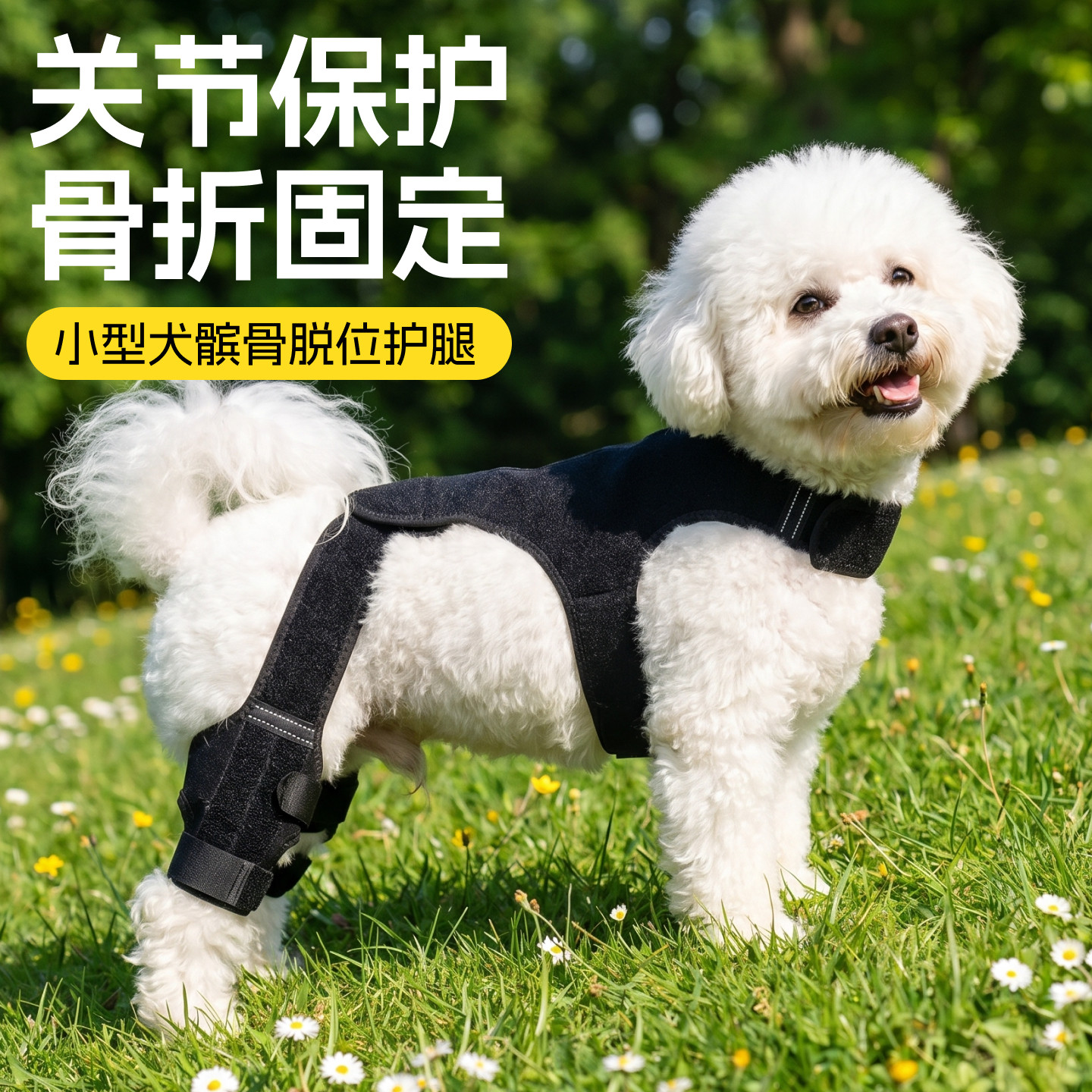 狗狗髌骨脱位固定带背心式小狗后腿骨折护膝关节保护十字韧带护具