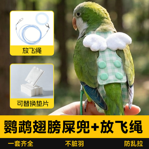 鹦鹉兜屎尿不湿纸尿裤小鸟牵引绳