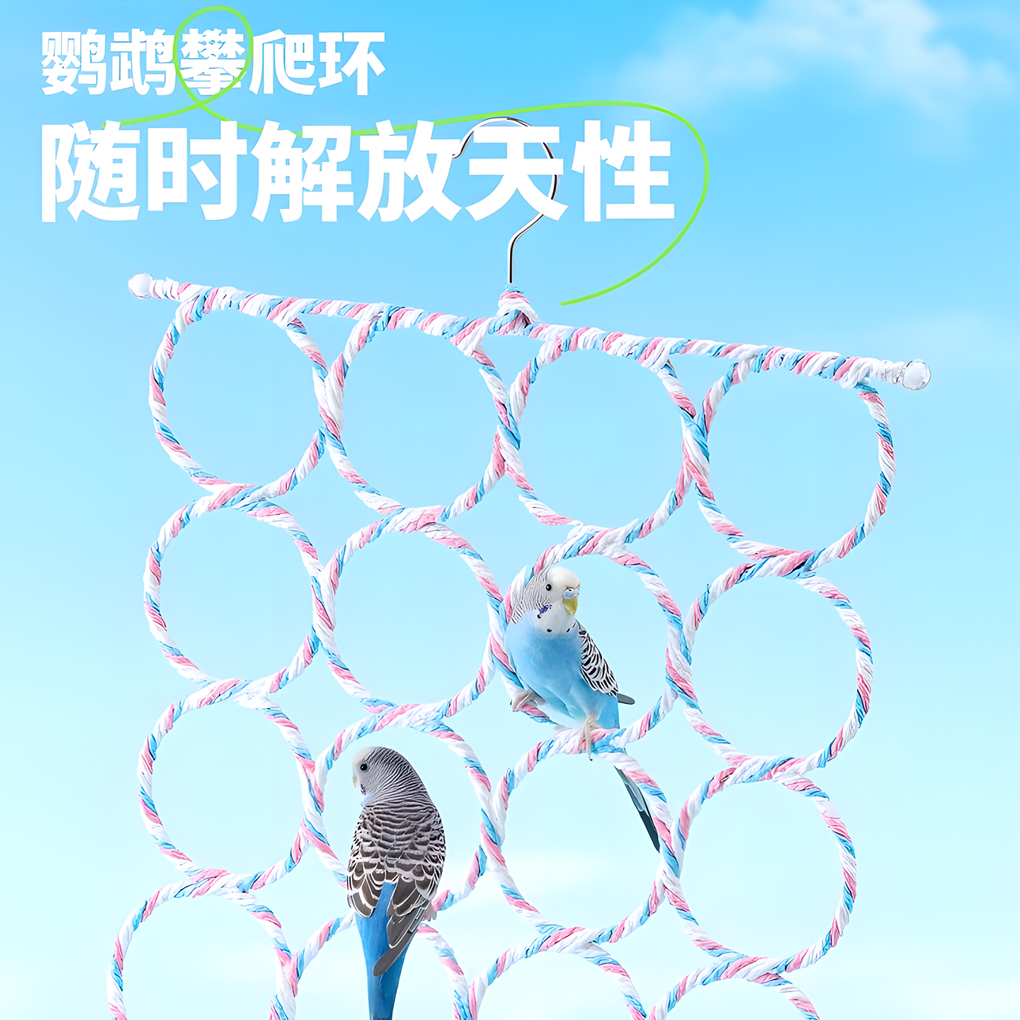 鹦鹉攀爬网解闷自嗨小鸟玩具啃咬虎皮小太阳牡丹解压逗鸟神器站架