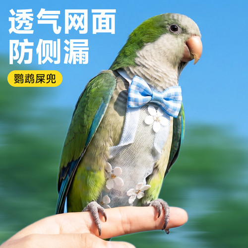 鹦鹉屎兜尿不湿衣服夏季拉屎专用