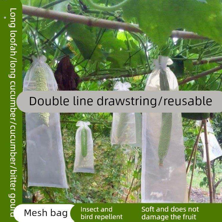 长丝瓜网眼套袋黄瓜青瓜苦瓜套袋专用袋防虫袋保护套瓜果水果瓜果