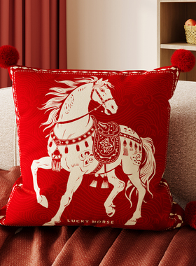 红色高级感马年红色沙发抱枕家用客厅榻榻米床头靠枕方形软枕头