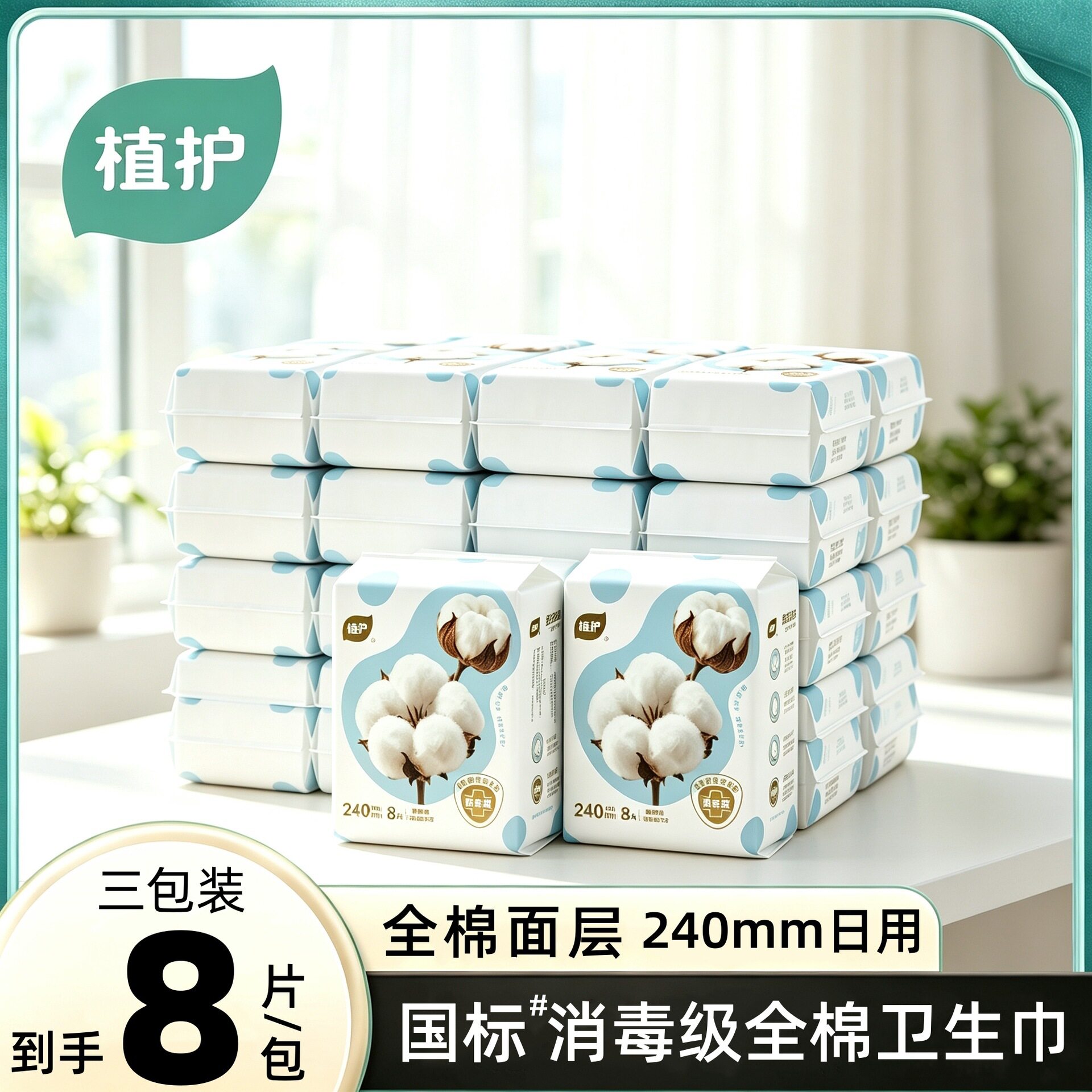 植护全棉卫生巾3大包日用240mm姨妈巾超薄8片/包护翼护垫一件代发