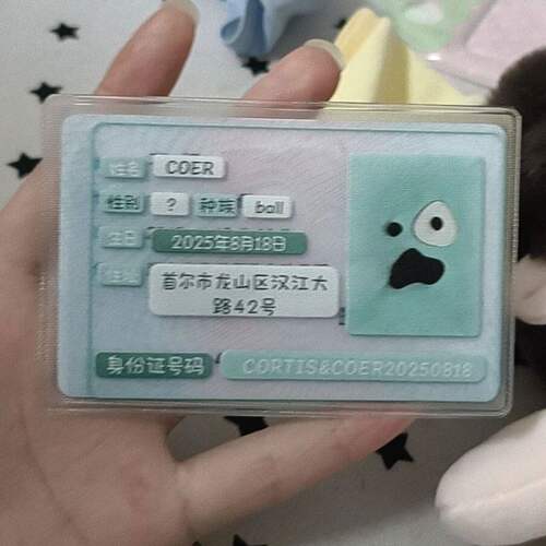 新款cortis周边卡套可爱ball球信息遮挡身份证卡套赵雨凡金主训