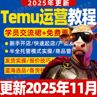 2026年Temu教程选品全半托运营管陪跑跨境电商店铺开店拼多多课程