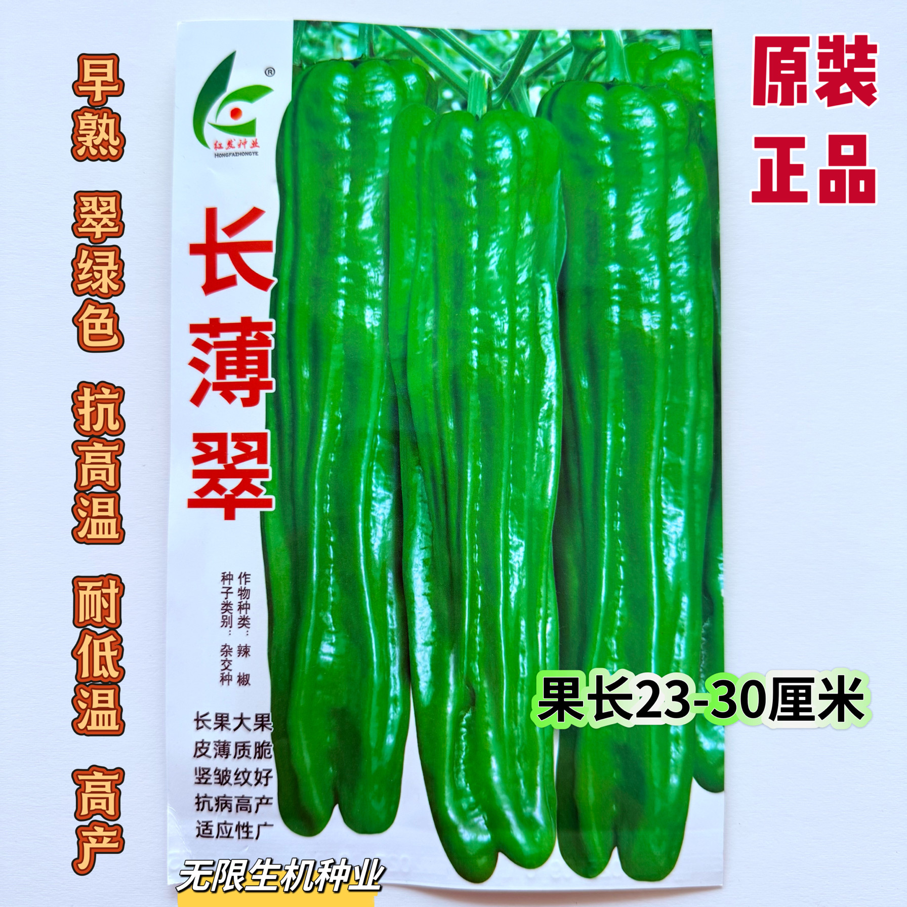 长薄翠薄皮辣椒种子抗热耐低温抗病高产大果薄皮泡椒皱皮青椒种籽
