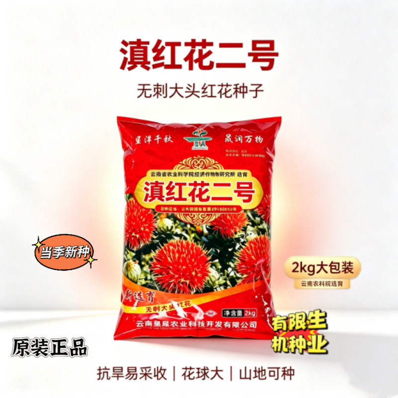 滇红花二号红花种子农科院选育无刺大头红花 大田经济作物种籽2kg