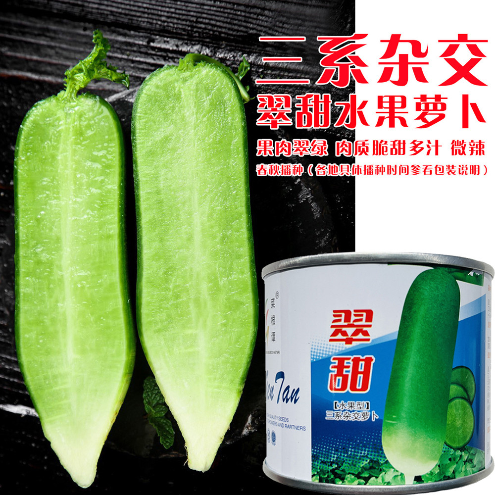 翠甜水果萝卜种子青皮青肉脆甜多汁萝卜种籽三系杂交萝卜种籽正品