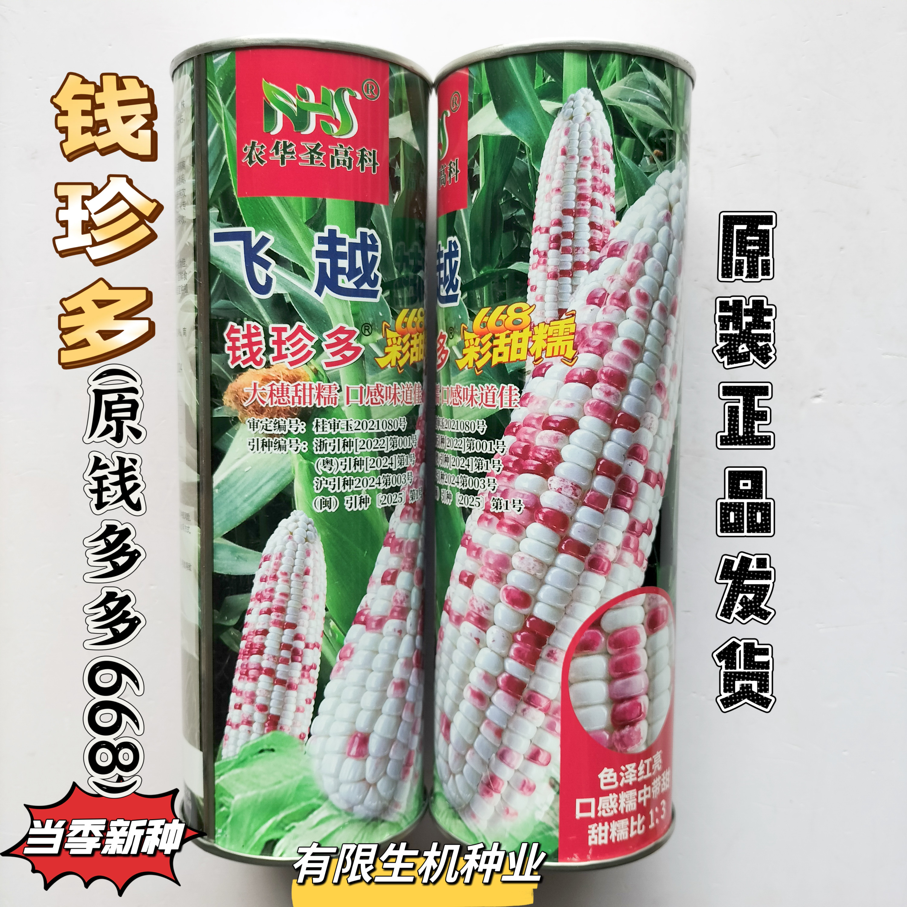 飞越彩甜糯668钱珍多玉米种子鲜食玉米种籽高产大棒苞谷香甜软糯