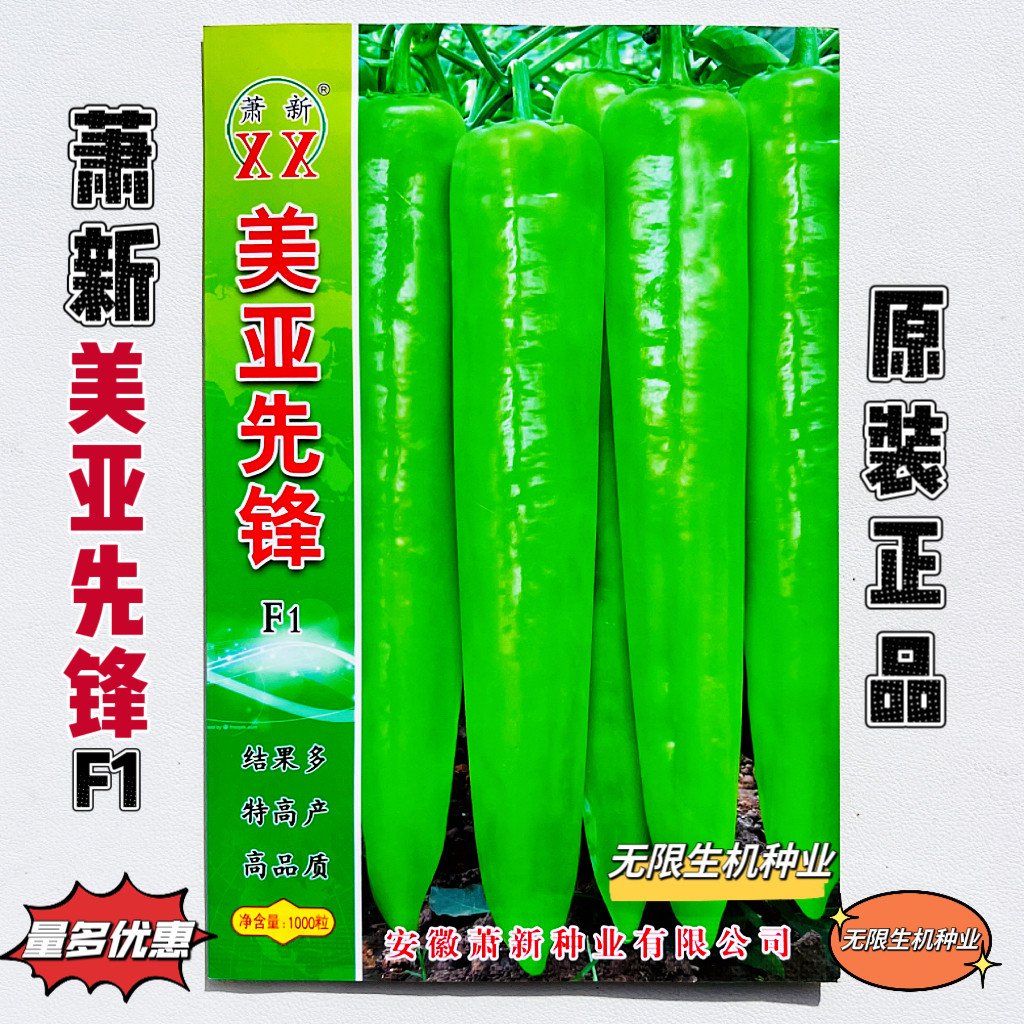 美亚先锋辣椒种子黄绿皮尖椒种籽高产早熟杂交一代大田基地专用种
