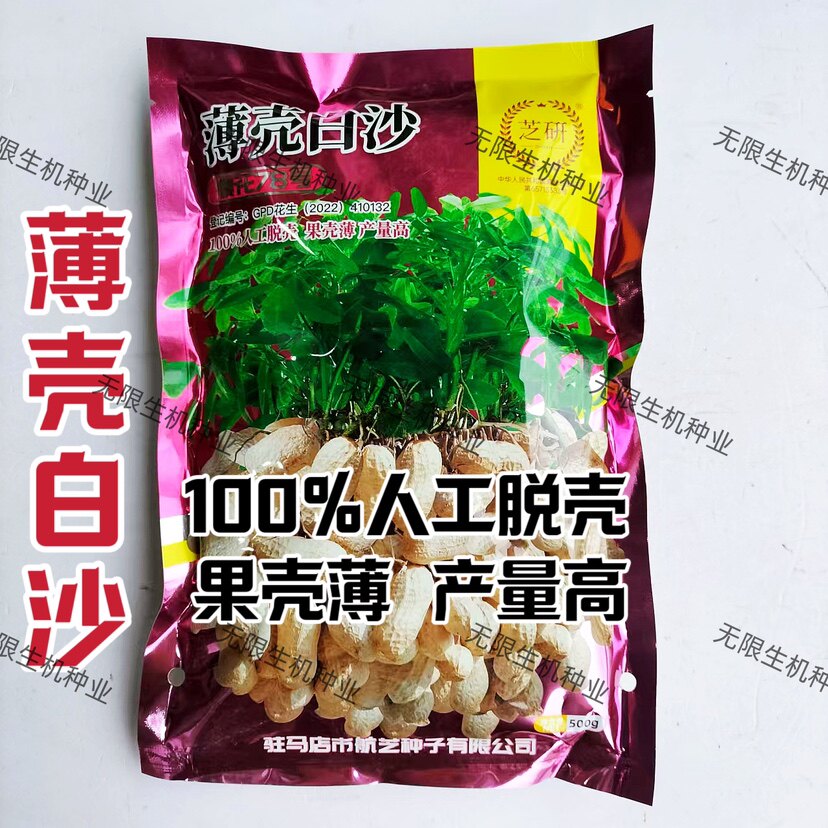 高产花生种子籽薄壳白沙花生原种抗病耐旱抗倒伏薄壳中果高油正品