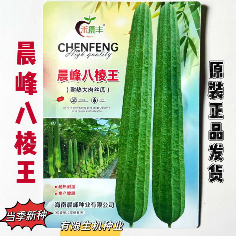 正品晨峰八棱王丝瓜种子早熟高产耐热耐寒抗病棱角甜丝瓜肉厚味甜