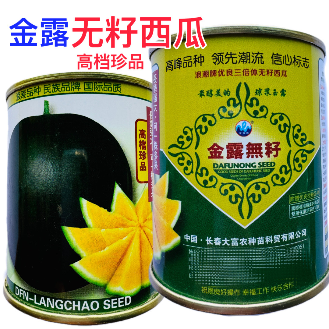 浪潮金露无籽西瓜种子黑皮黄瓤西瓜种籽高糖高端礼品瓜种籽四季播
