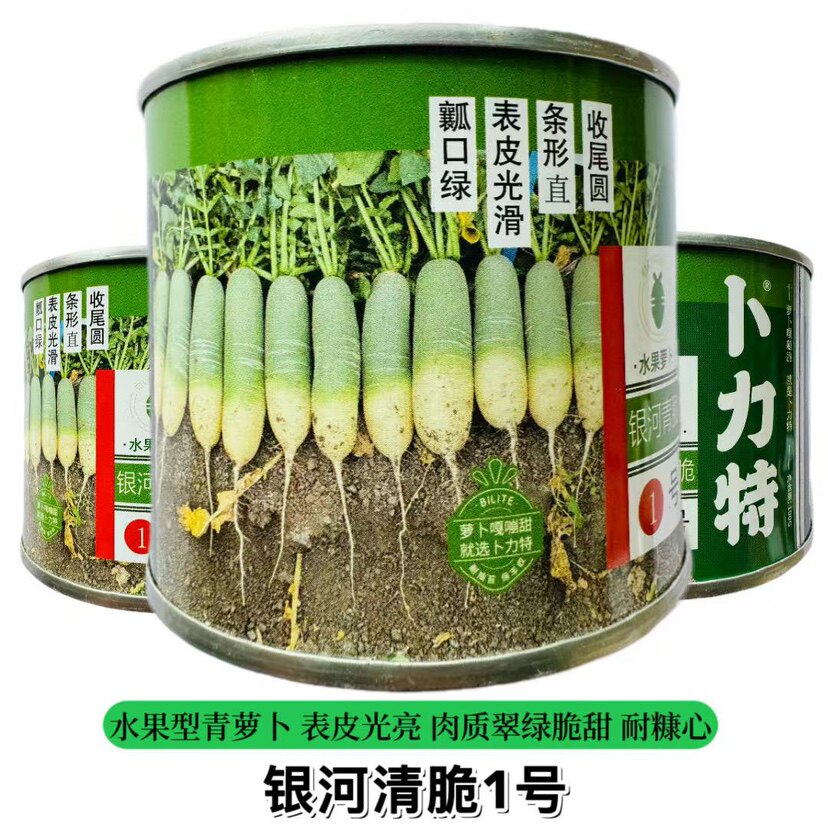 银河青脆1号水果萝卜种子脆甜光滑七星萝卜沙窝萝卜蔬菜籽种正品