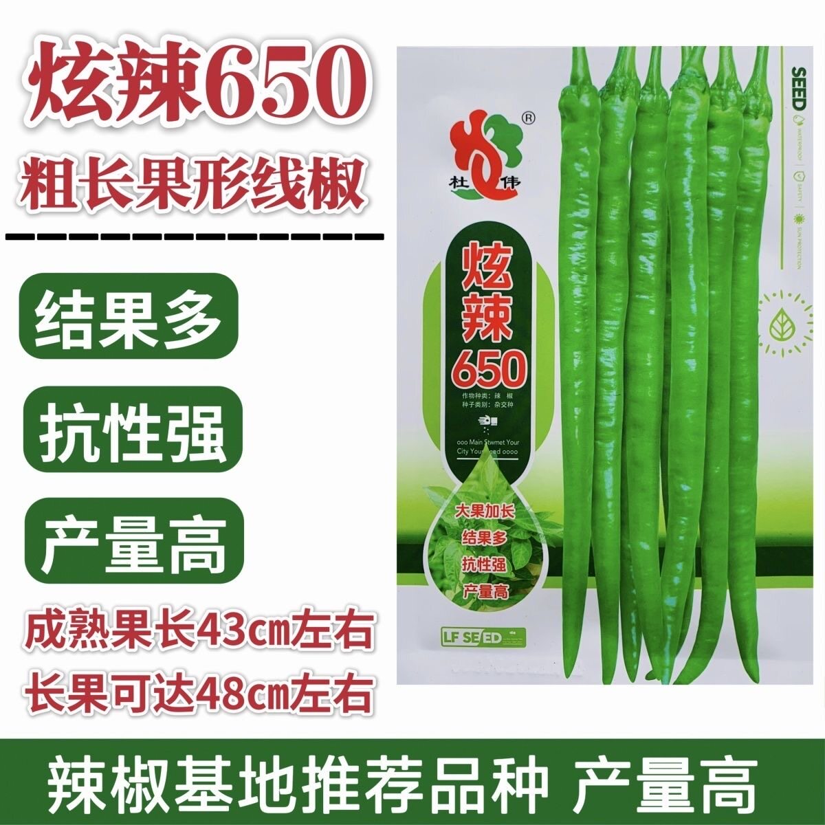 炫辣650线椒种子早熟粗长线椒种籽长果型辣椒种子产量高抗病春秋