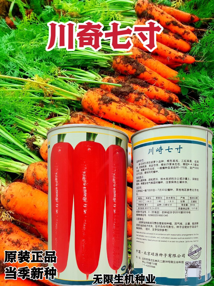 川崎七寸胡萝卜种籽日本引进三红率高春秋播抗病高产红胡萝卜种子
