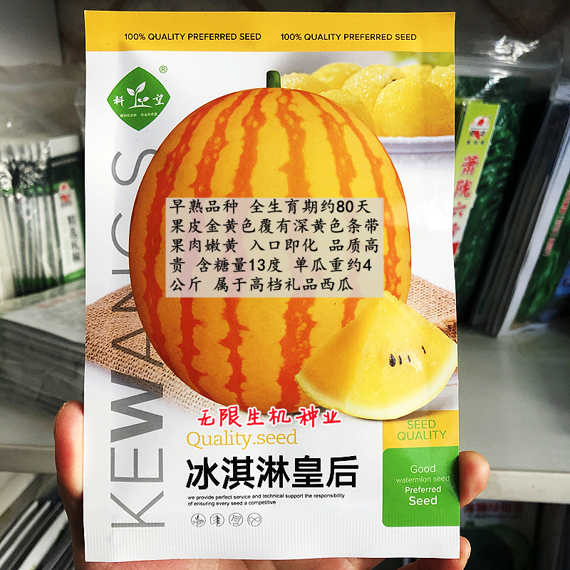 黄皮黄瓤西瓜种籽冰淇淋皇后西瓜种子黄肉薄皮圆形高档礼品瓜种孑